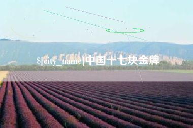 高唐中国十七块金牌