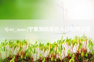 高唐宁夏消防报名入口官网公告