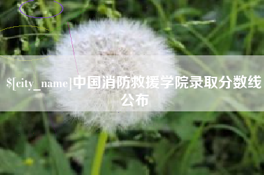 高唐中国消防救援学院录取分数线公布