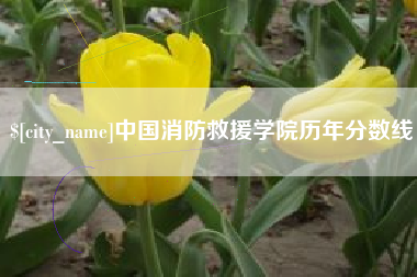 高唐中国消防救援学院历年分数线