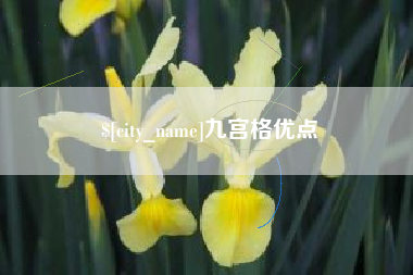 高唐九宫格优点