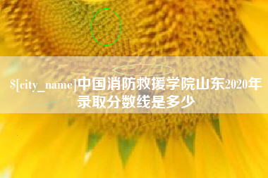 高唐中国消防救援学院山东2020年录取分数线是多少