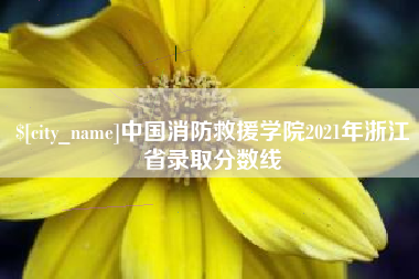 高唐中国消防救援学院2021年浙江省录取分数线