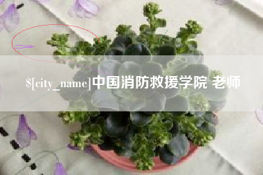 高唐中国消防救援学院 老师
