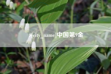 高唐中国第9金
