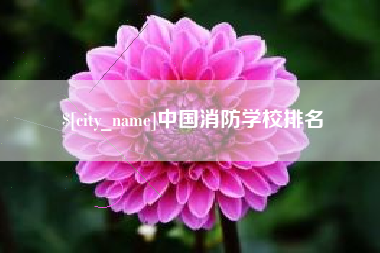 高唐中国消防学校排名