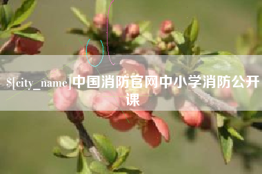 高唐中国消防官网中小学消防公开课