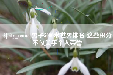 高唐男子5000米世界排名-这些积分不仅关乎个人荣誉
