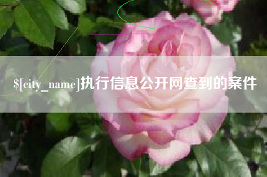 高唐执行信息公开网查到的案件