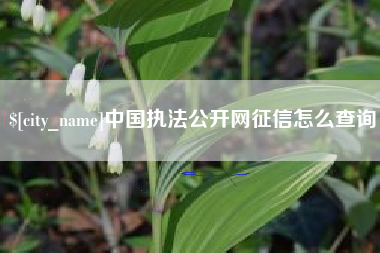 高唐中国执法公开网征信怎么查询