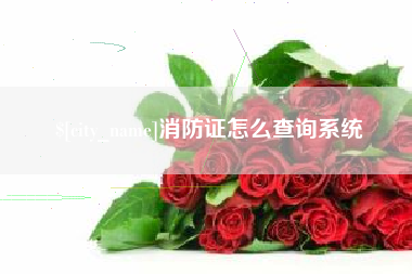 高唐消防证怎么查询系统