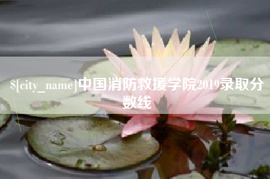高唐中国消防救援学院2019录取分数线