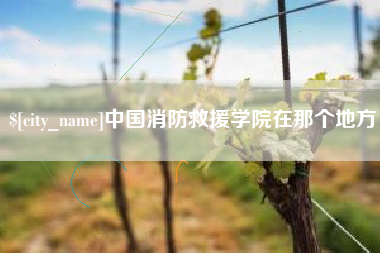 高唐中国消防救援学院在那个地方