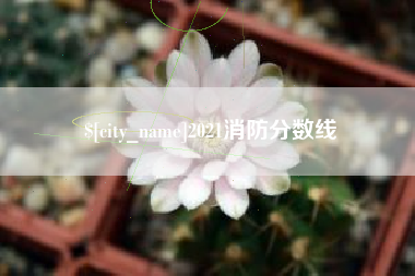 高唐2021消防分数线