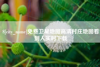 高唐免费卫星地图高清村庄地图看到人实时下载