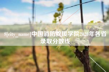 高唐中国消防救援学院2020年各省录取分数线