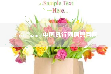 高唐中国执行网信息官网