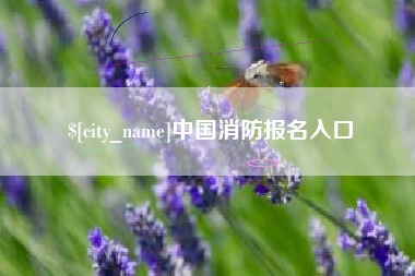 高唐中国消防报名入口