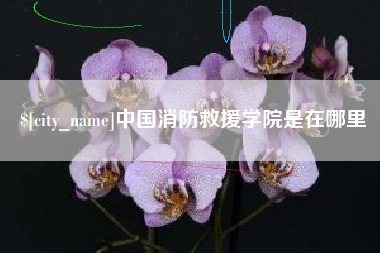 高唐中国消防救援学院是在哪里