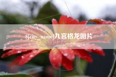高唐九宫格龙图片