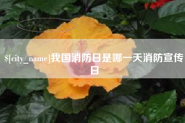 高唐我国消防日是哪一天消防宣传日