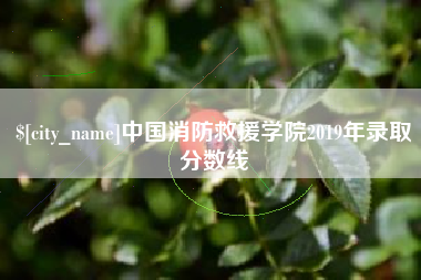 高唐中国消防救援学院2019年录取分数线