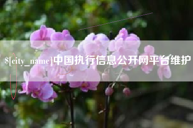 高唐中国执行信息公开网平台维护