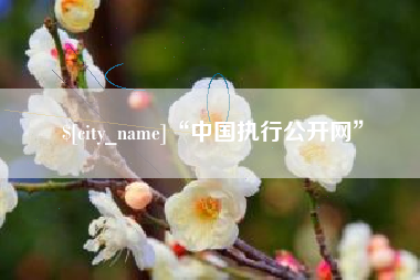 高唐“中国执行公开网”