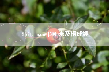 高唐5000米及格成绩