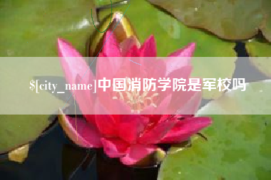 高唐中国消防学院是军校吗