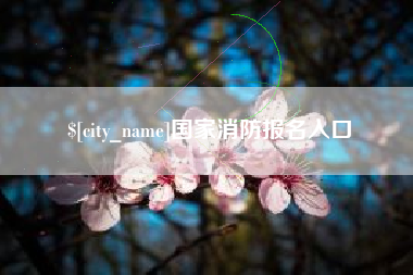 高唐国家消防报名入口