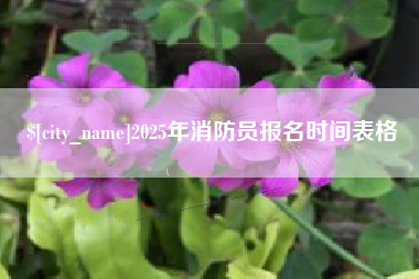 高唐2025年消防员报名时间表格
