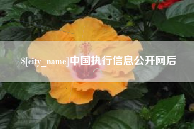 高唐中国执行信息公开网后