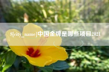 高唐中国金牌是哪些项目2021