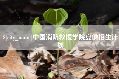 高唐中国消防救援学院安徽招生计划
