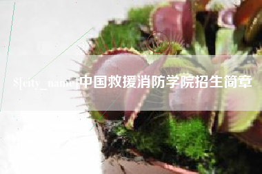 高唐中国救援消防学院招生简章