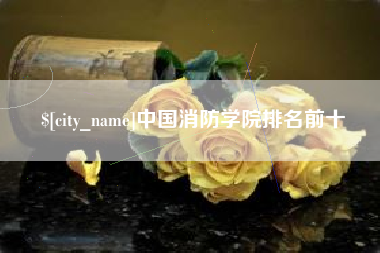 高唐中国消防学院排名前十
