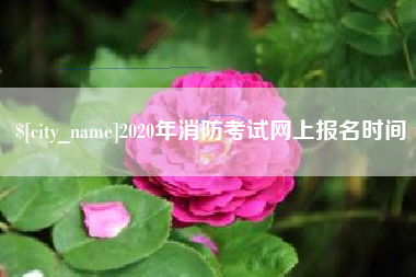 高唐2020年消防考试网上报名时间