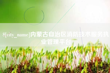 高唐内蒙古自治区消防技术服务执业管理平台