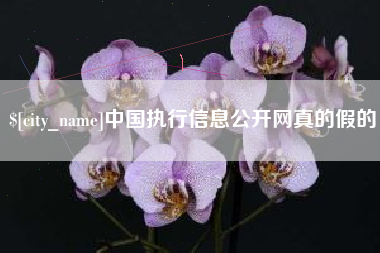 高唐中国执行信息公开网真的假的