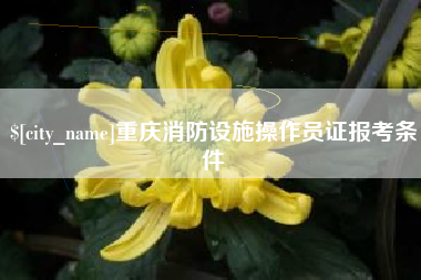 高唐重庆消防设施操作员证报考条件