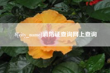 高唐消防证查询网上查询