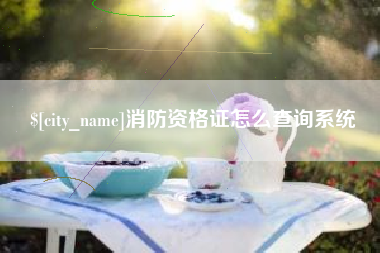 高唐消防资格证怎么查询系统