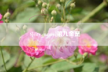 高唐第九金是
