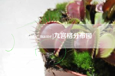高唐九宫格分布图
