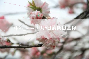 高唐11月9日消防日全称