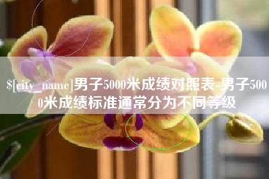 高唐男子5000米成绩对照表-男子5000米成绩标准通常分为不同等级