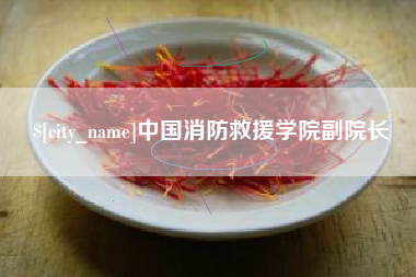 高唐中国消防救援学院副院长