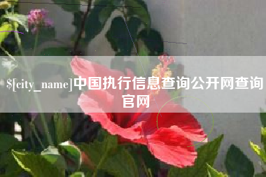 高唐中国执行信息查询公开网查询官网