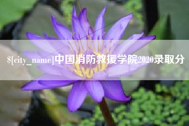 高唐中国消防救援学院2020录取分